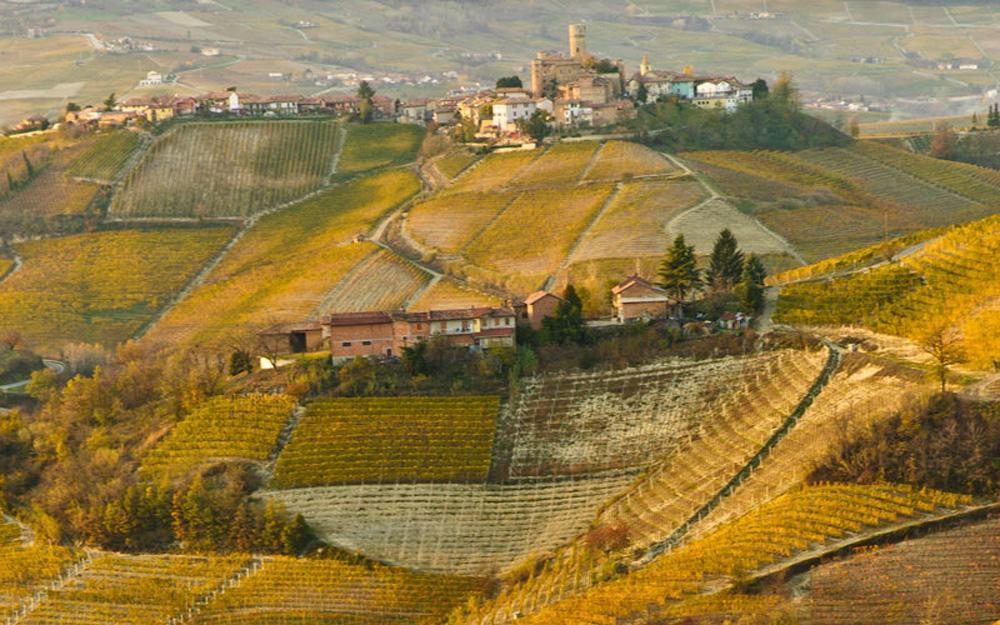 Hotel Langhe & Monferrato Costigliole d'Asti Εξωτερικό φωτογραφία